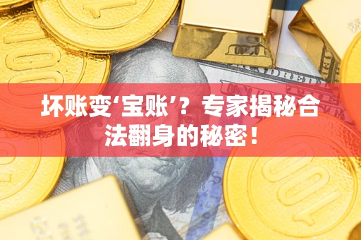 济南坏账变‘宝账’？专家揭秘合法翻身的秘密！