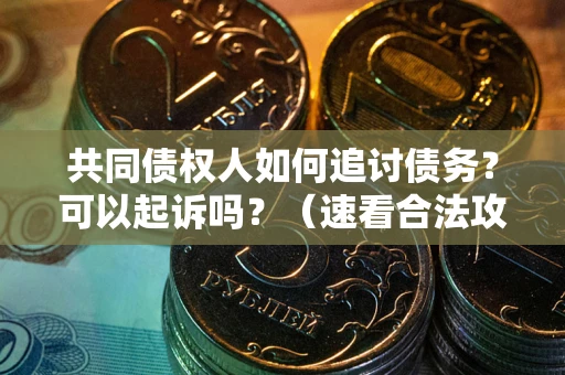 济南共同债权人如何追讨债务？可以起诉吗？（速看合法攻略）